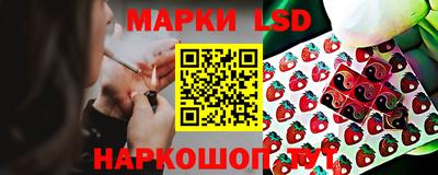 кокс Можга