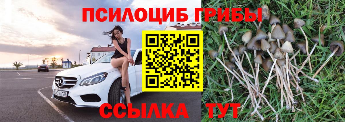 Тольятти  Галлюциногенные грибы ЛСД  Вход с VPN 