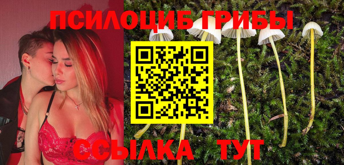 Псилоцибиновые грибы Cubensis Тольятти